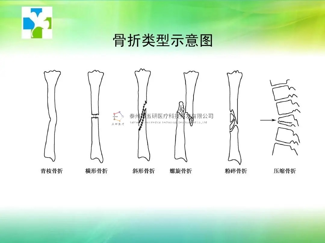 1675924738211730.jpg 3.webp.jpg